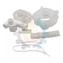 4.webp