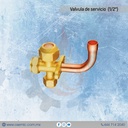 Valvula de servicio 